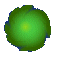 Green Dot SM